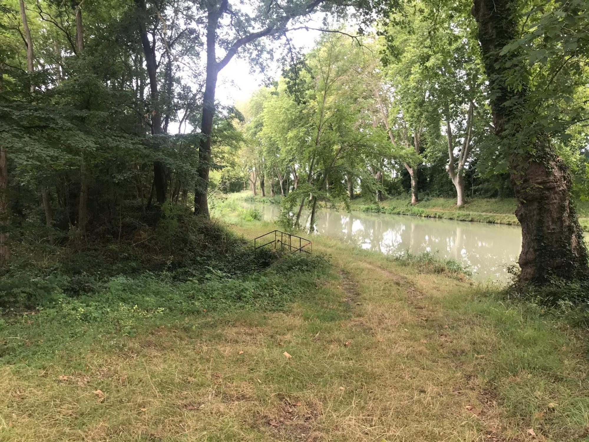 Bus Atypique Au Bord Du Canal Du Midi Et Au Coeur D'Une Foret 2 Chambres Villepinte  Екстер'єр фото